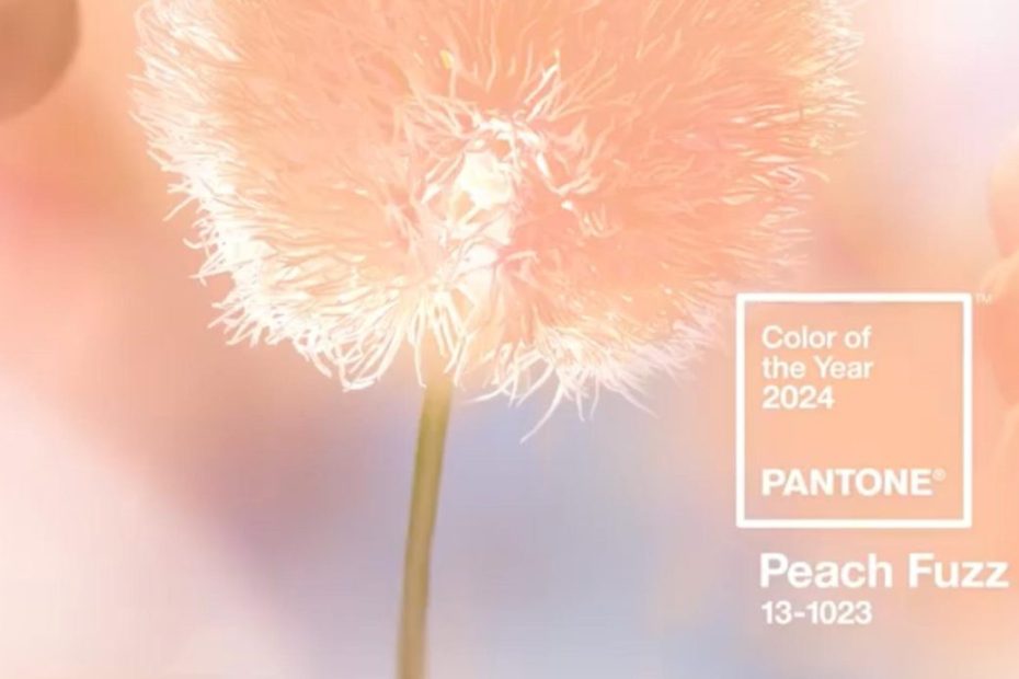 Color Pantone 2024 Peach Fuzz (cuál es y cómo decorar con él)